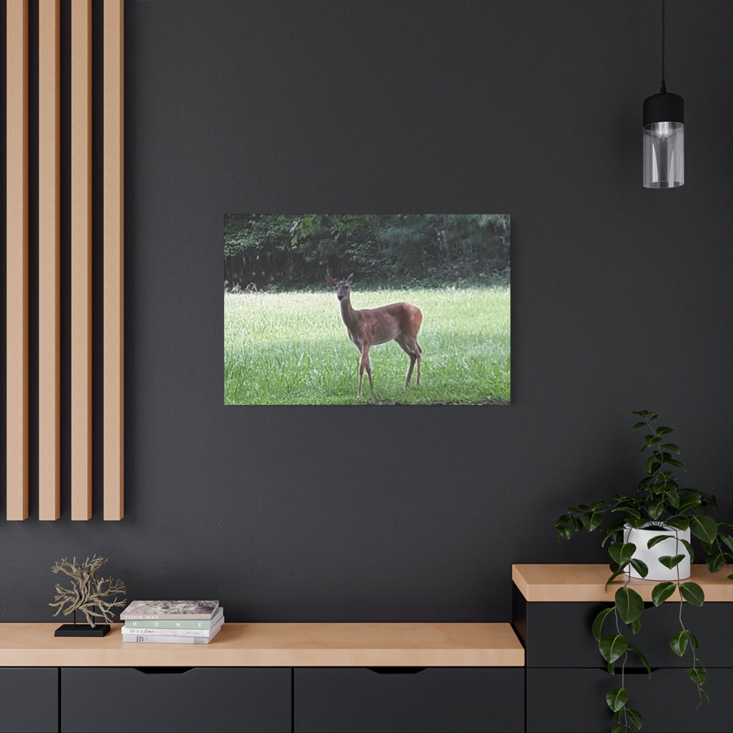 Pause in the Meadow – Deer Wildlife Photography Print | Nature Wall Art – Stretched Matte Print