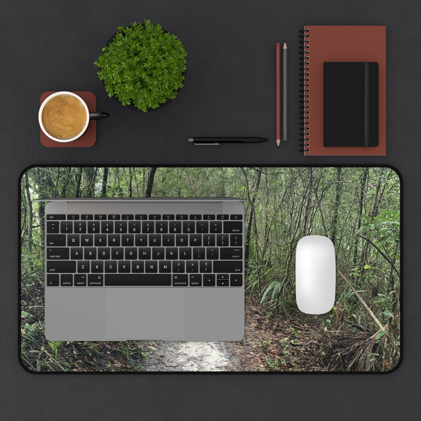 Into the Stillness Desk Pad | Nature Desk Mat | Woodland Workspace Decor | Photos by Phae
