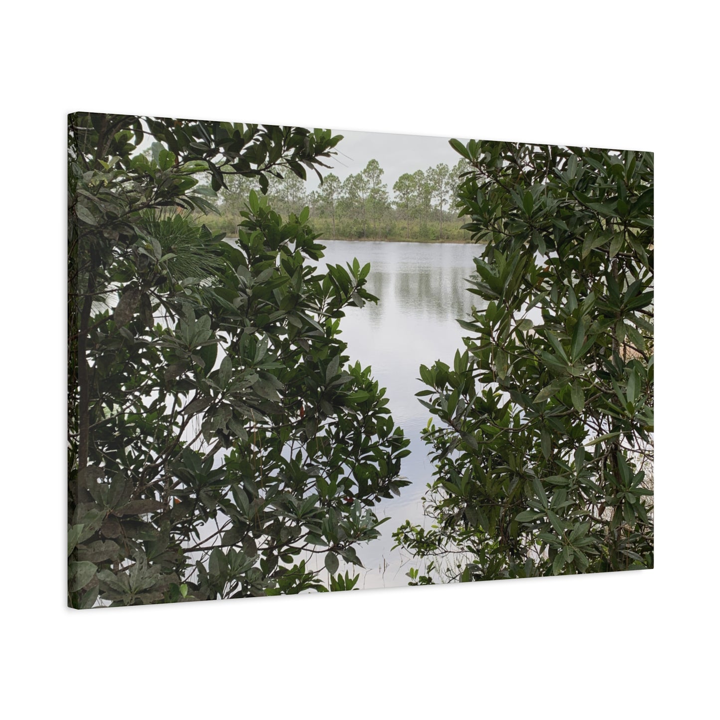 Framed By Nature – Nature Landscape Photography Print | Lake View Wall Art – Stretched Matte Print