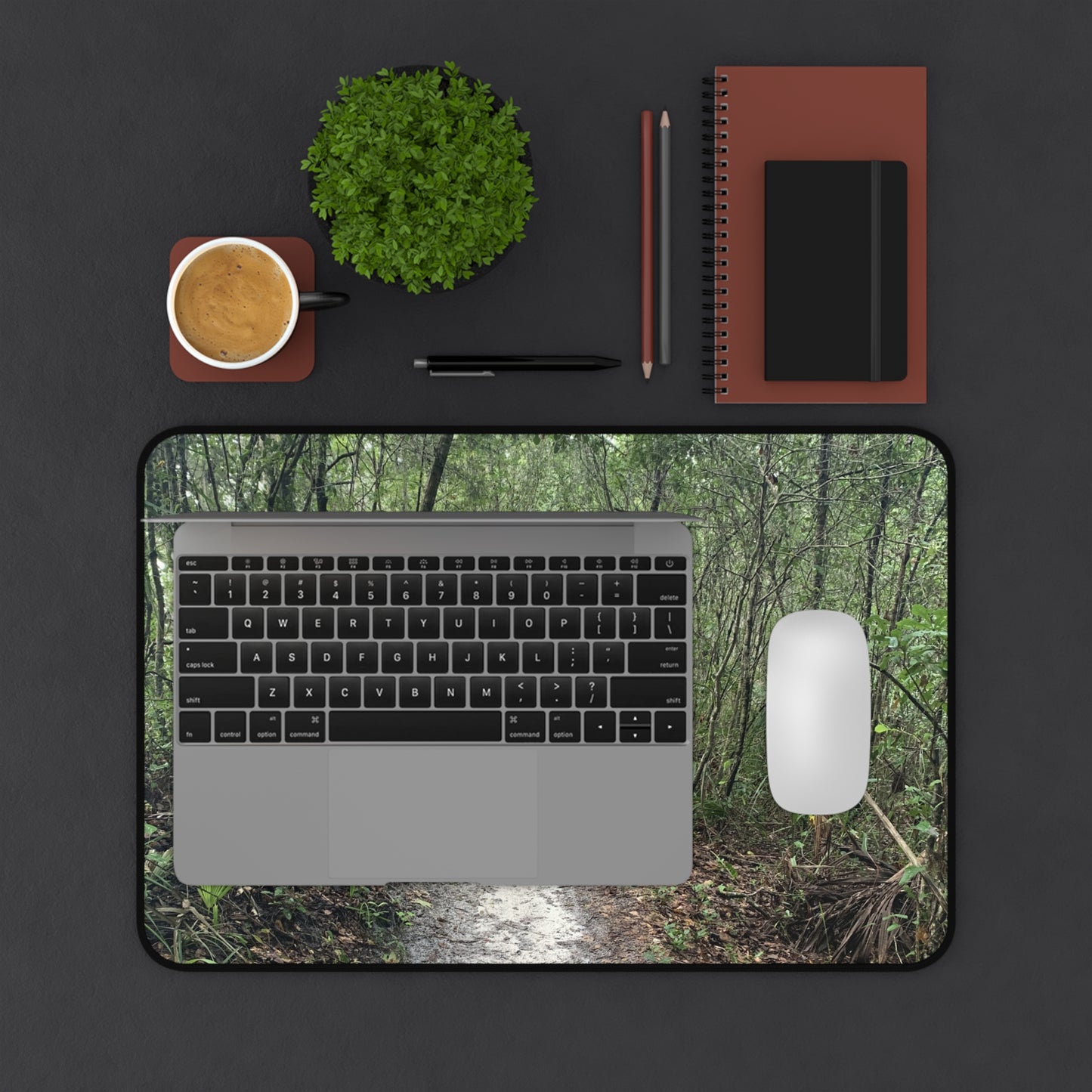 Into the Stillness Desk Pad | Nature Desk Mat | Woodland Workspace Decor | Photos by Phae