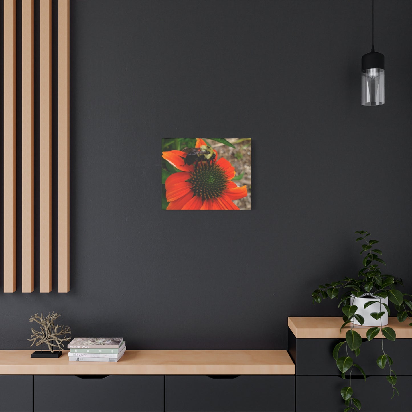 Where Life Lands – Bumblebee on Coneflower Photography Print | Nature Wall Art – Stretched Matte Print