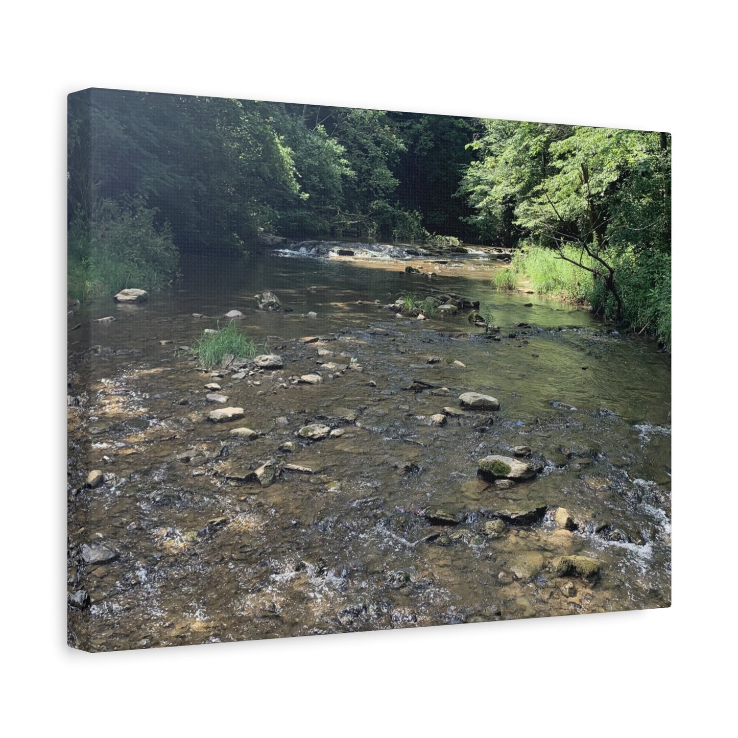 Where the Water Wanders – Stream Landscape Photography Print | Nature Wall Art – Stretched Matte Print
