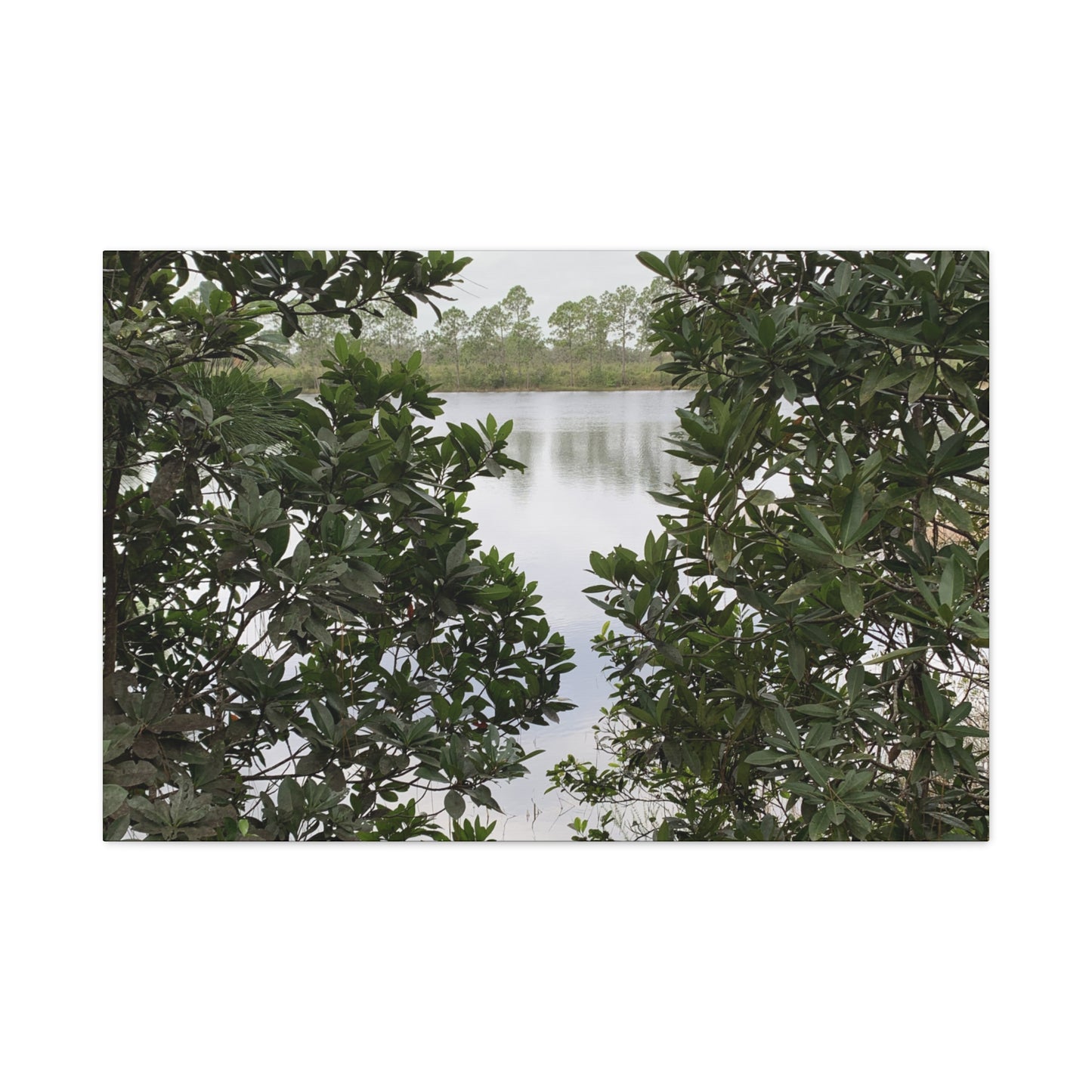 Framed By Nature – Nature Landscape Photography Print | Lake View Wall Art – Stretched Matte Print