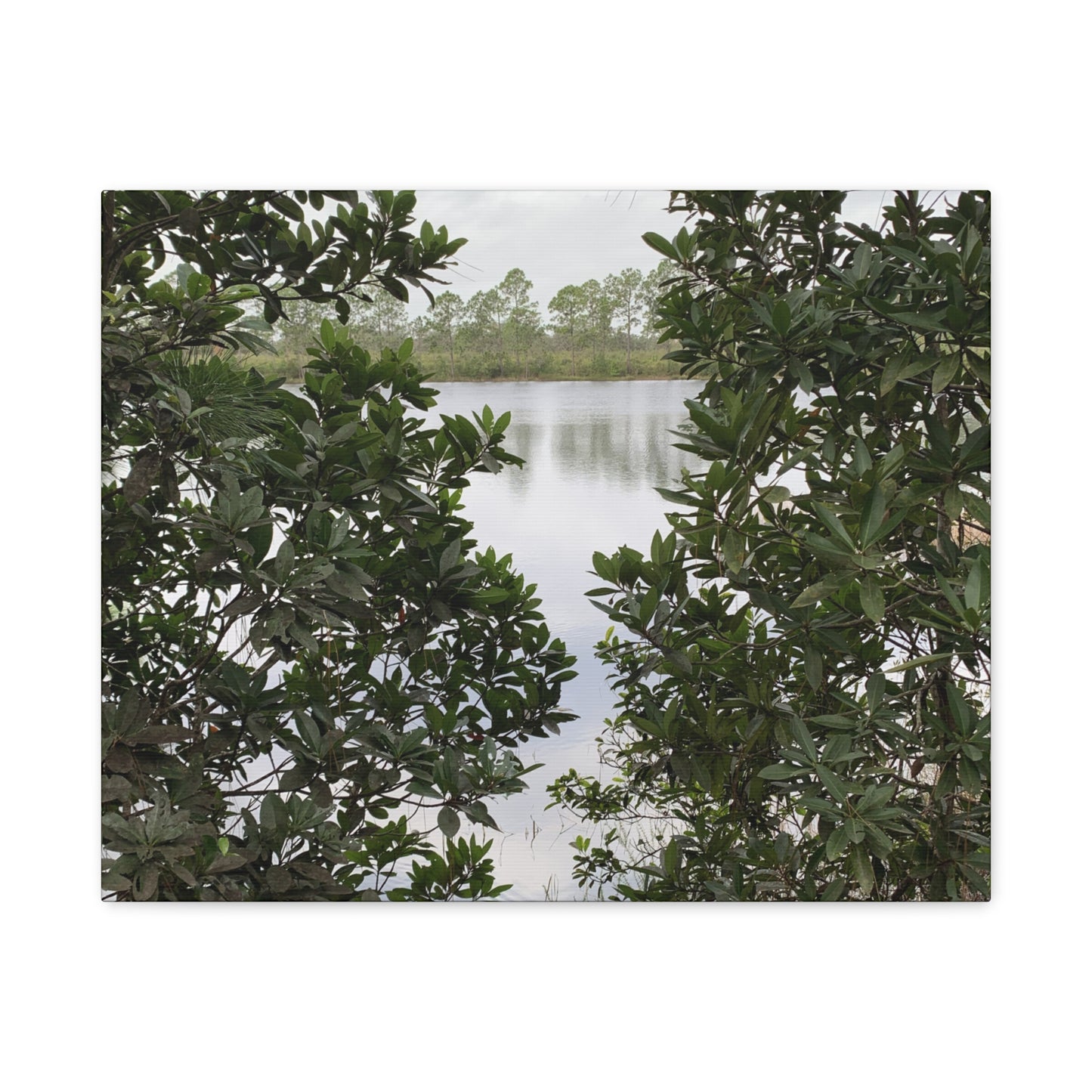 Framed By Nature – Nature Landscape Photography Print | Lake View Wall Art – Stretched Matte Print