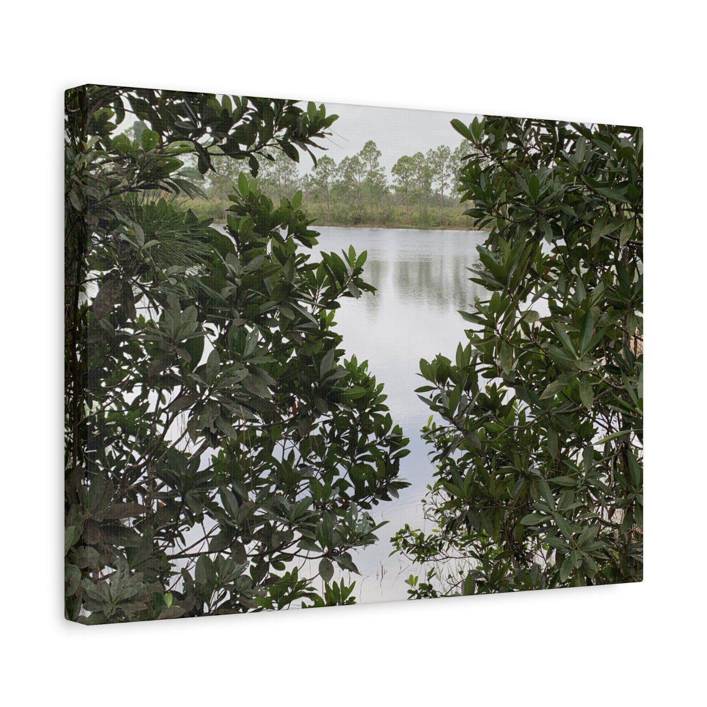 Framed By Nature – Nature Landscape Photography Print | Lake View Wall Art – Stretched Matte Print