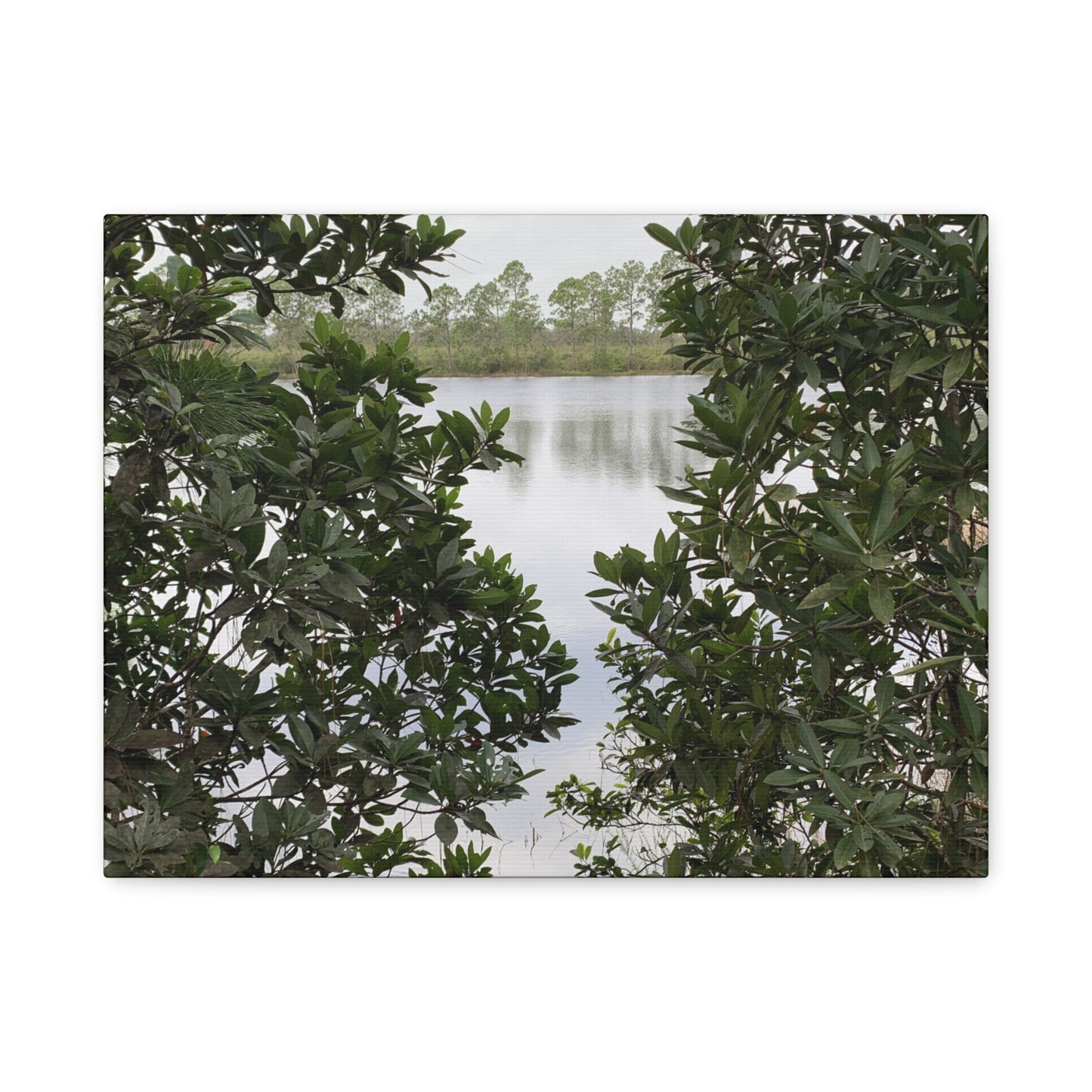Framed By Nature – Nature Landscape Photography Print | Lake View Wall Art – Stretched Matte Print