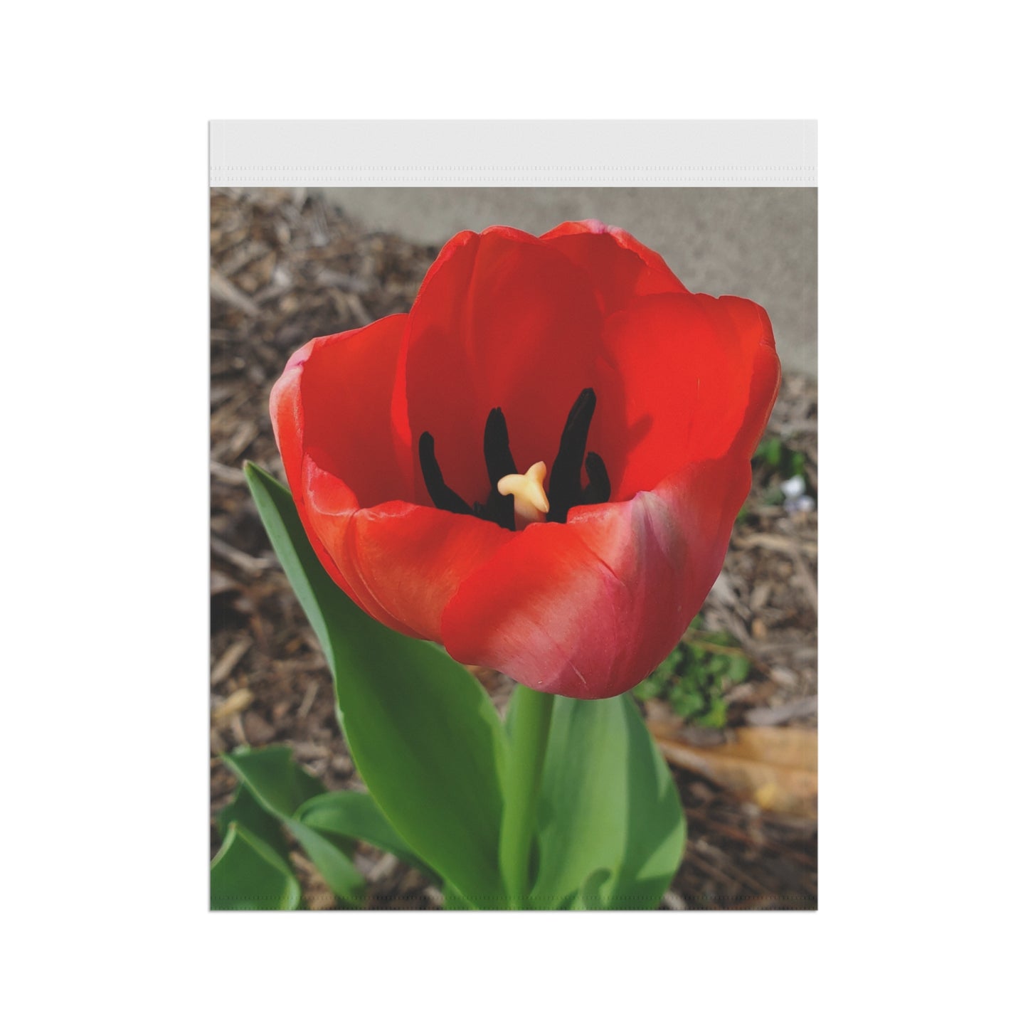 Crimson Bloom Garden Flag Yard Banner