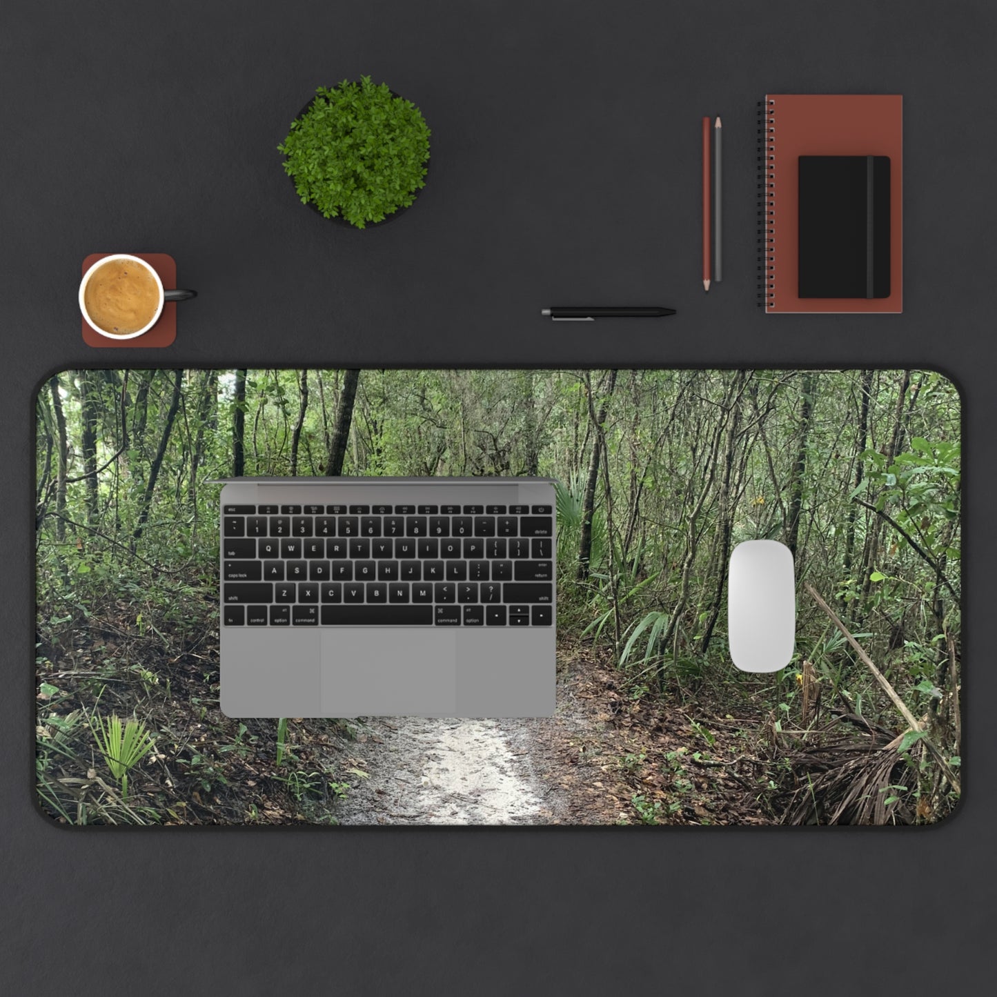 Into the Stillness Desk Pad | Nature Desk Mat | Woodland Workspace Decor | Photos by Phae