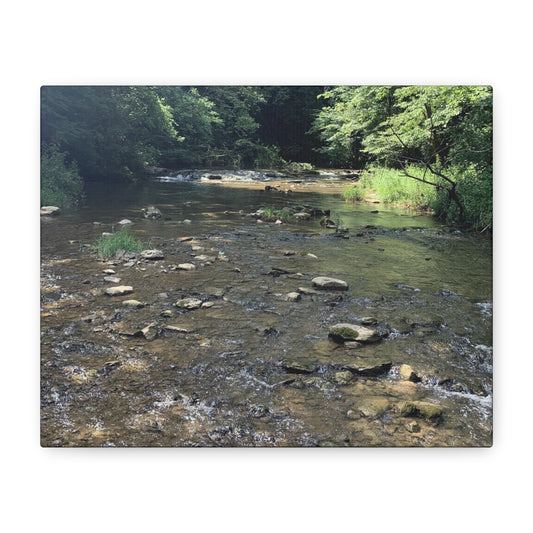 Where the Water Wanders – Stream Landscape Photography Print | Nature Wall Art – Stretched Matte Print