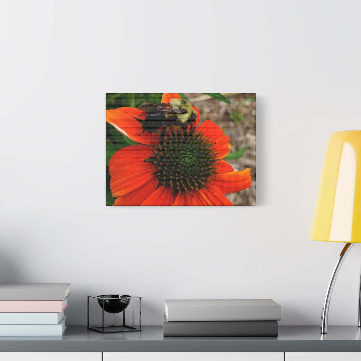 Where Life Lands – Bumblebee on Coneflower Photography Print | Nature Wall Art – Stretched Matte Print
