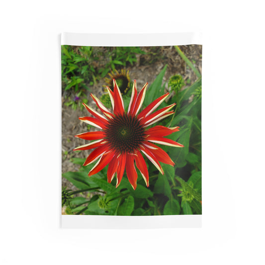 Wildfire Bloom Wall Tapestry | Red Flower Nature Decor | Photos by Phae