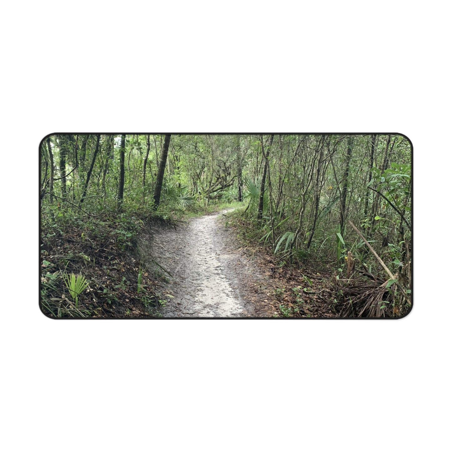 Into the Stillness Desk Pad | Nature Desk Mat | Woodland Workspace Decor | Photos by Phae