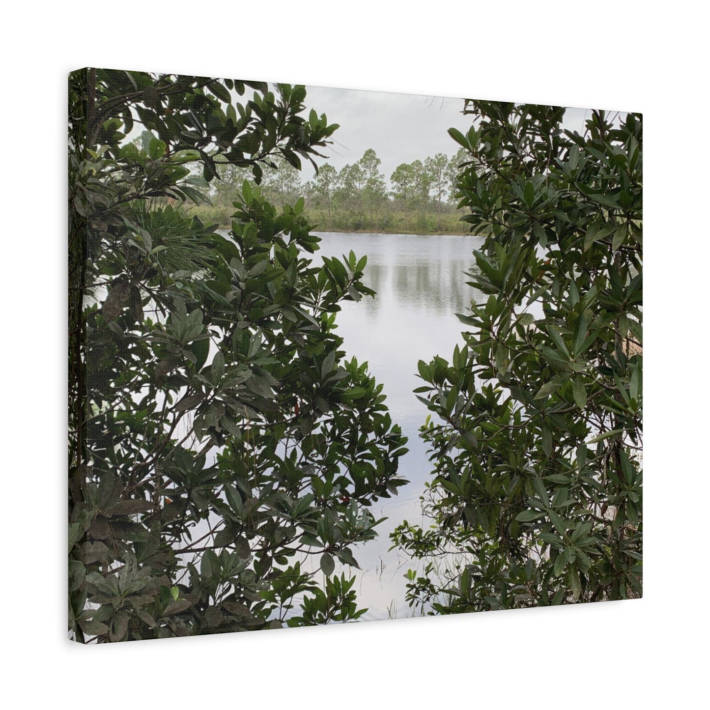 Framed By Nature – Nature Landscape Photography Print | Lake View Wall Art – Stretched Matte Print