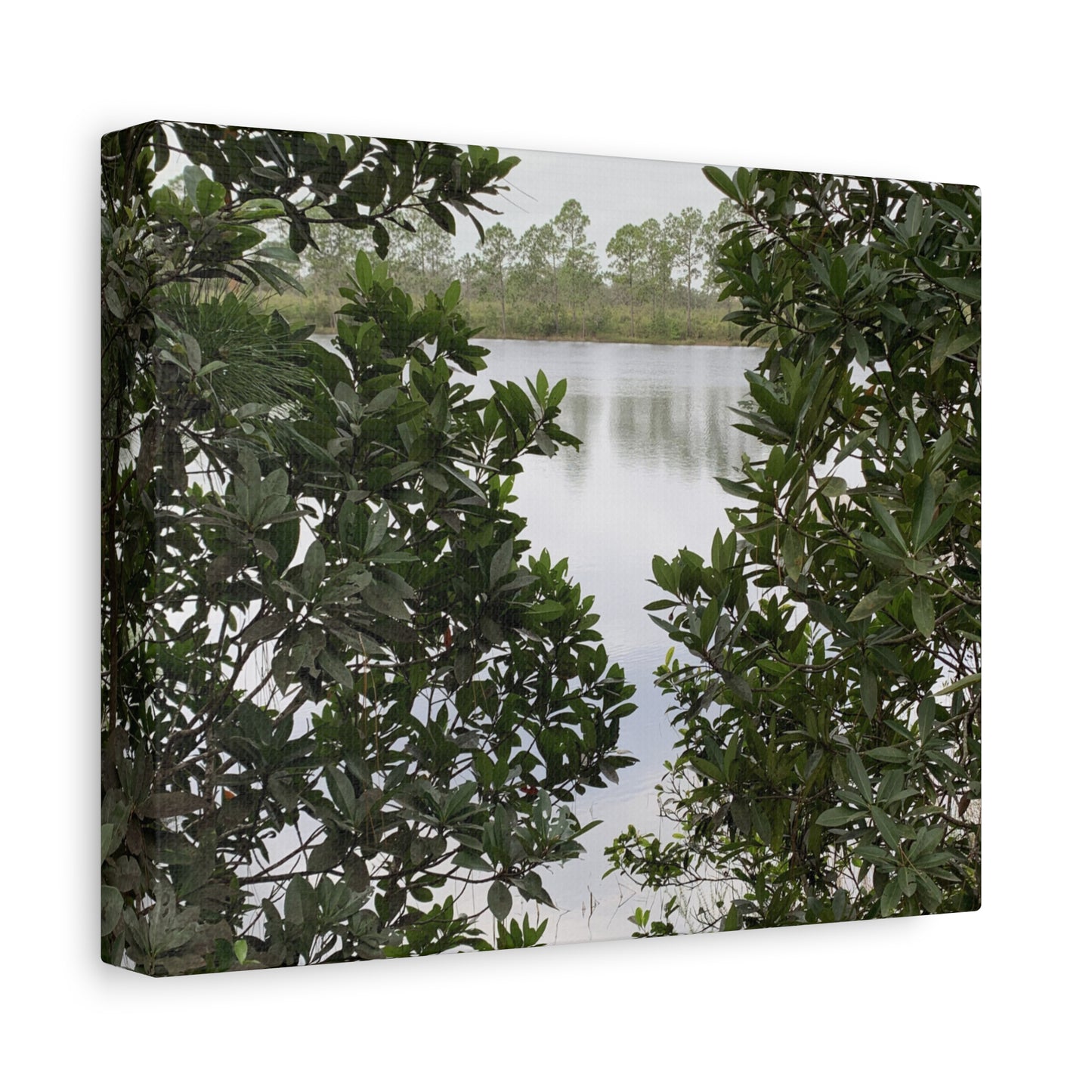 Framed By Nature – Nature Landscape Photography Print | Lake View Wall Art – Stretched Matte Print