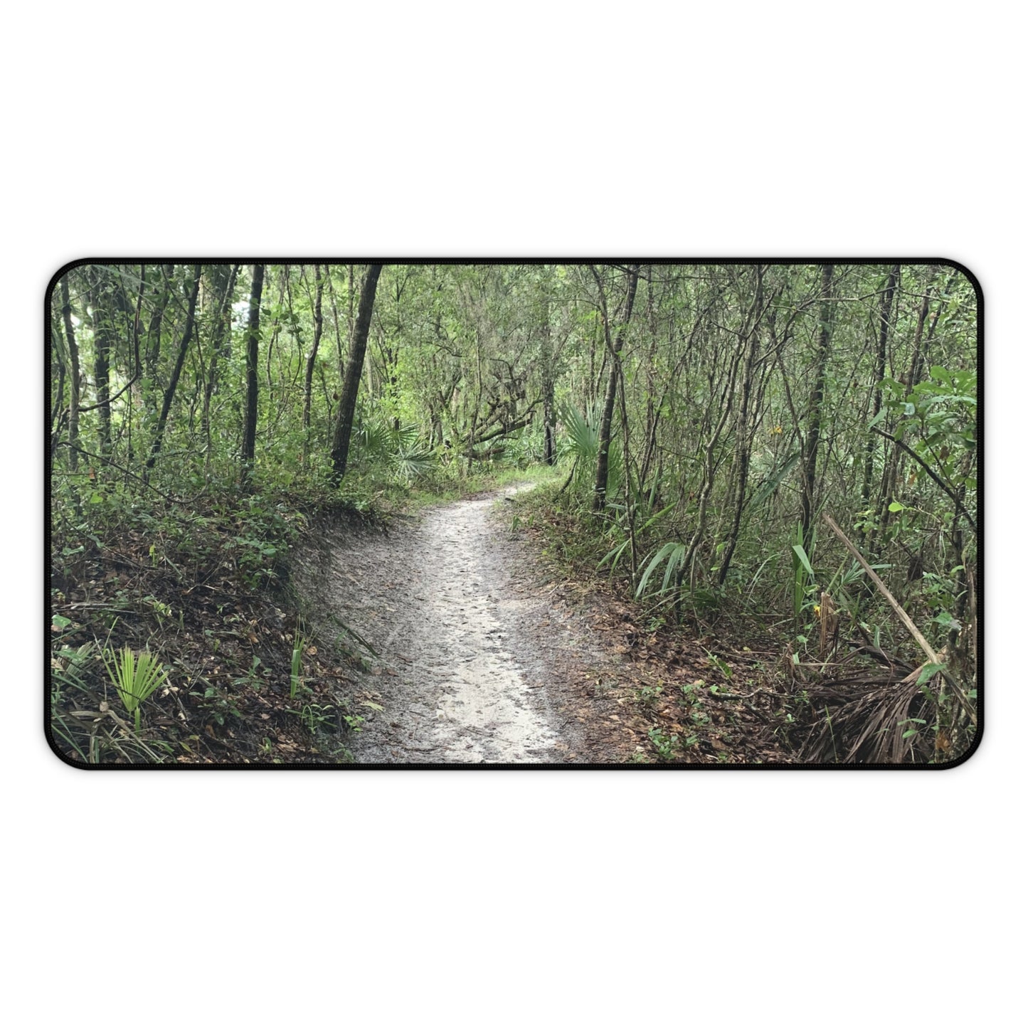 Into the Stillness Desk Pad | Nature Desk Mat | Woodland Workspace Decor | Photos by Phae