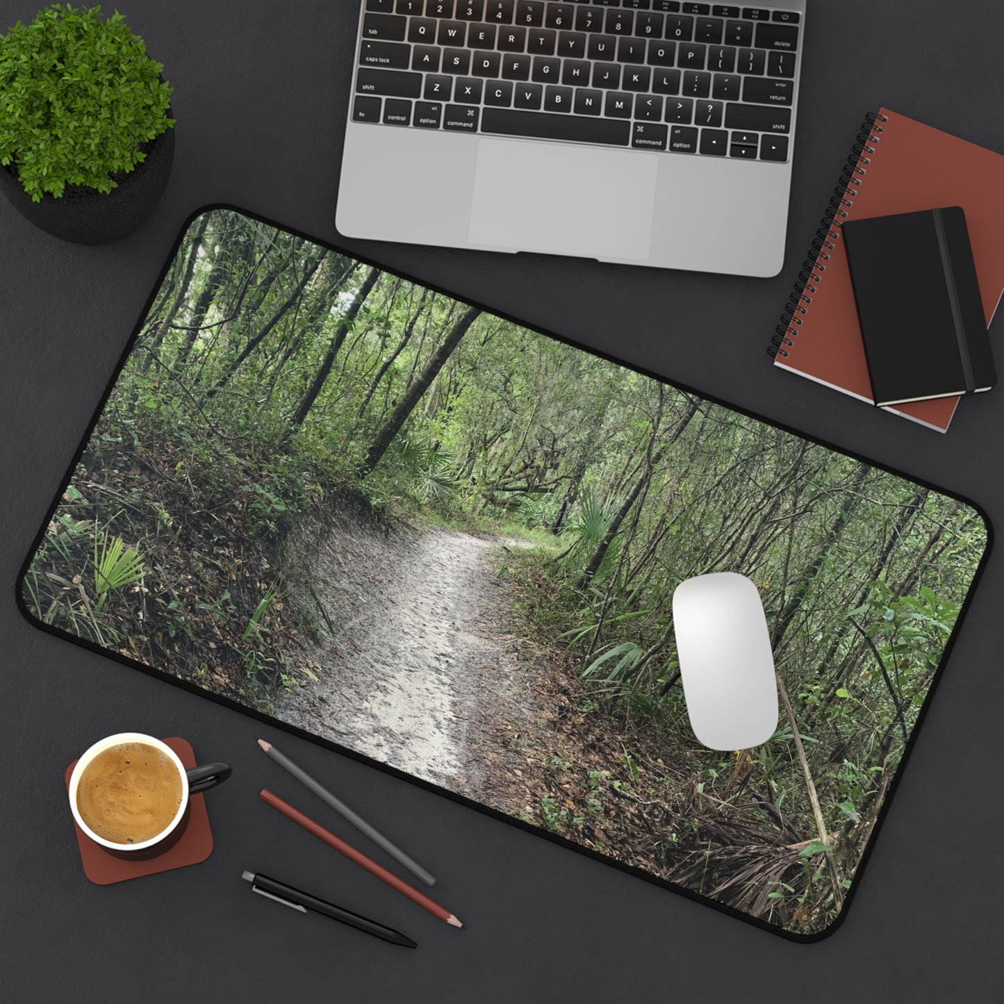 Into the Stillness Desk Pad | Nature Desk Mat | Woodland Workspace Decor | Photos by Phae