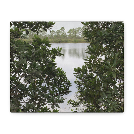 Framed By Nature – Nature Landscape Photography Print | Lake View Wall Art – Stretched Matte Print