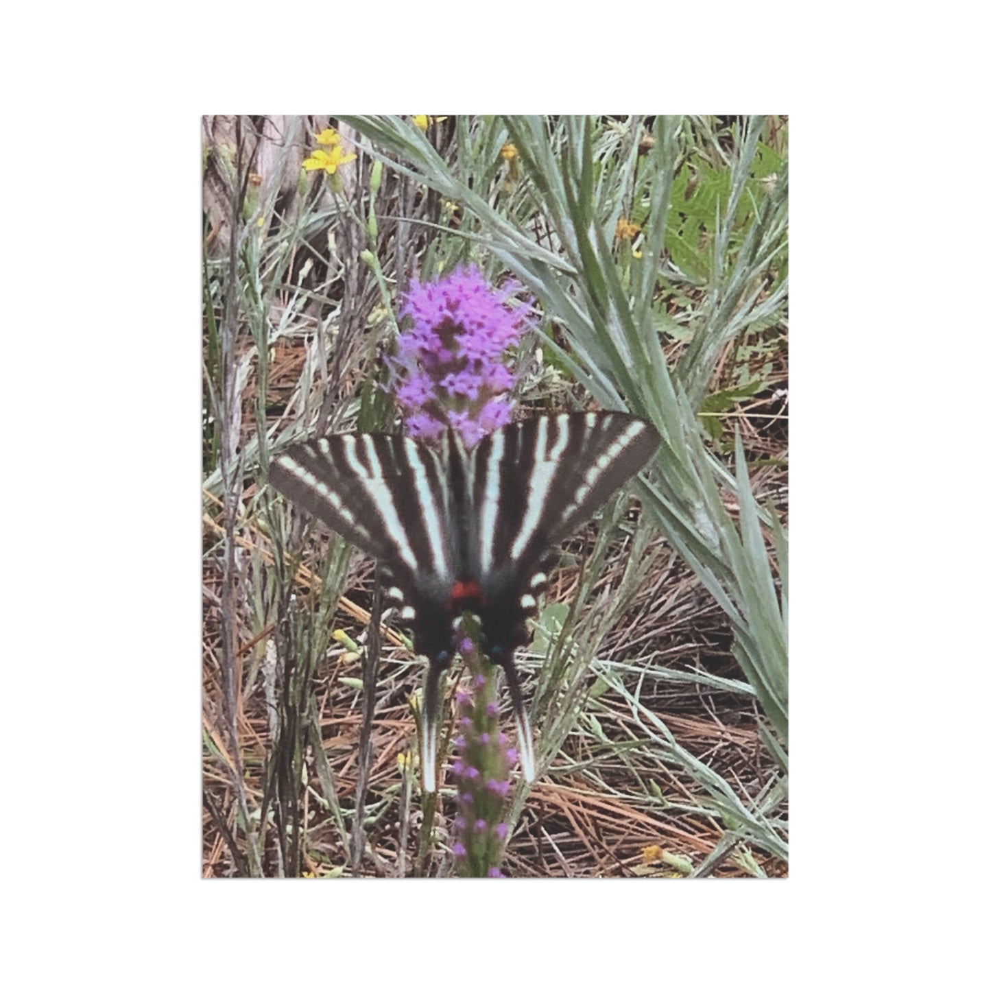 Wild Grace Garden Flag | Nature Photography Yard Decor | Photos by Phae