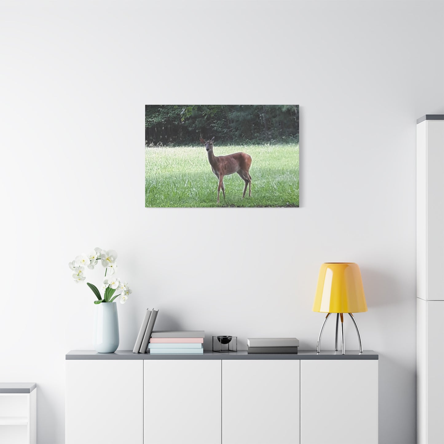 Pause in the Meadow – Deer Wildlife Photography Print | Nature Wall Art – Stretched Matte Print
